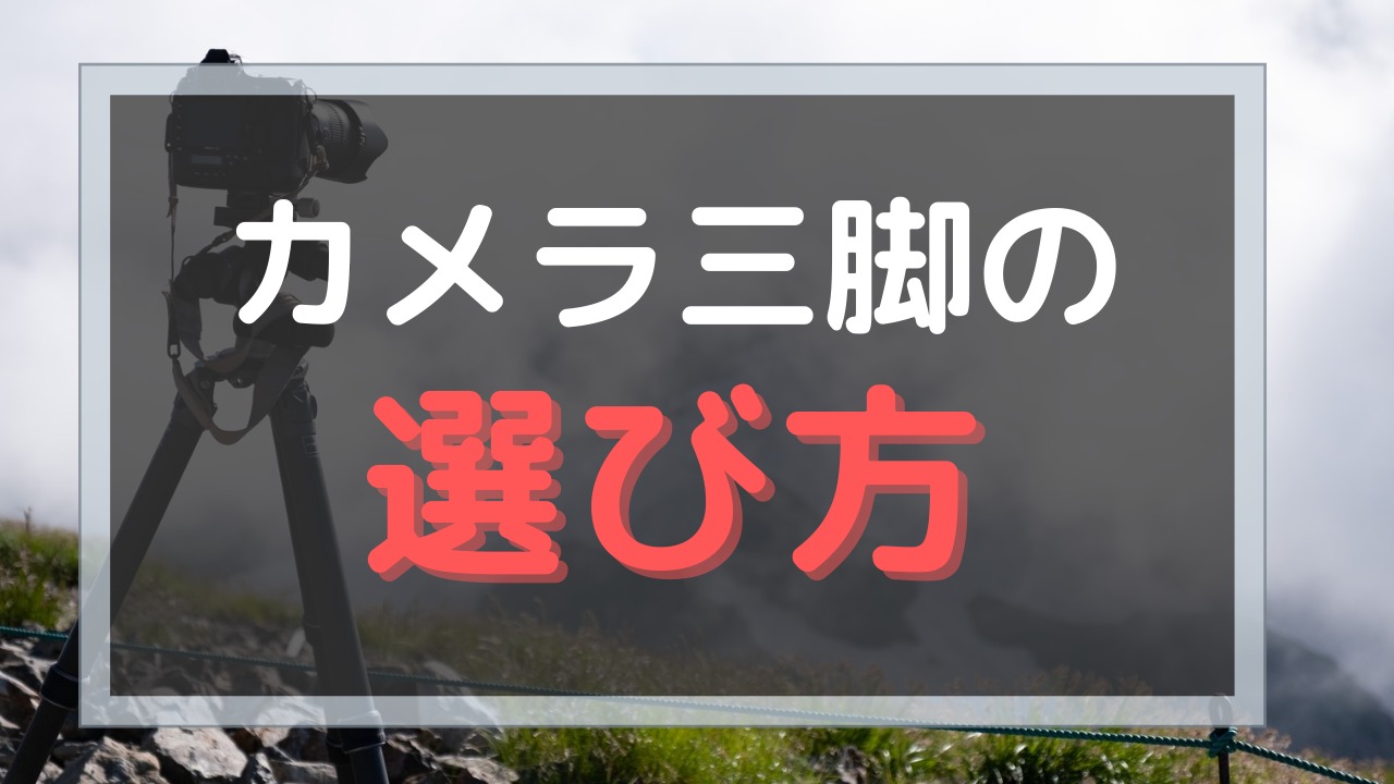 コンパクトな三脚の選び方 おすすめカメラ三脚5選！｜旅カメラblog