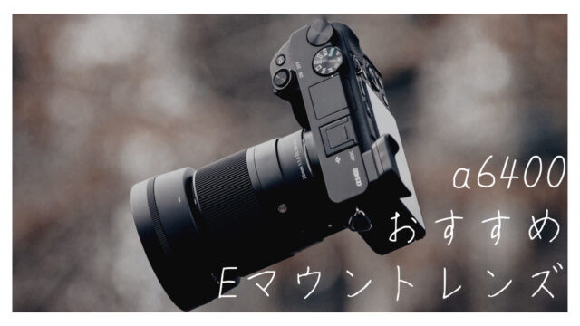 カメラ レンズ(単焦点) SONY.SEL35F18レビュー、SONY.APS-C機の最初のレンズに最適・作例紹介｜