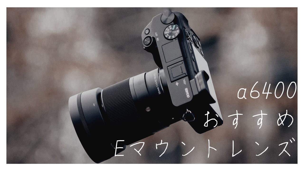 SONY.a6400・a6600のおすすめAPS-C.Eマウントレンズ｜旅カメラblog