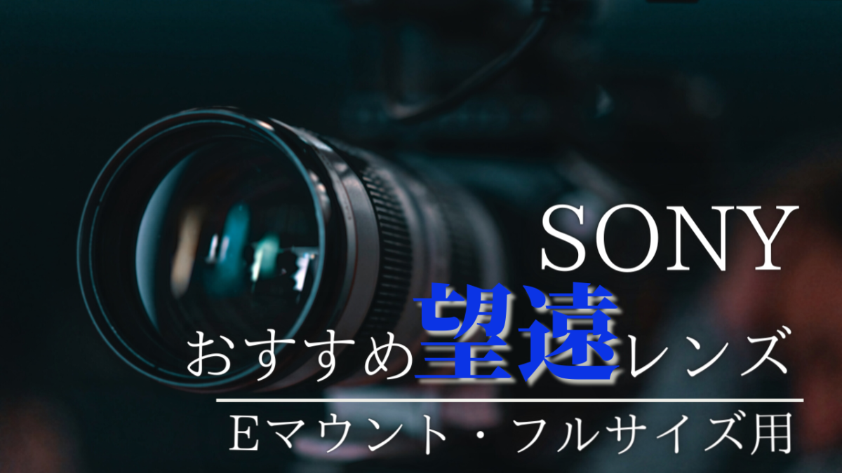 超望遠レンズ 長距離 遠くの撮影に！SONYミラーレスカメラ用サード