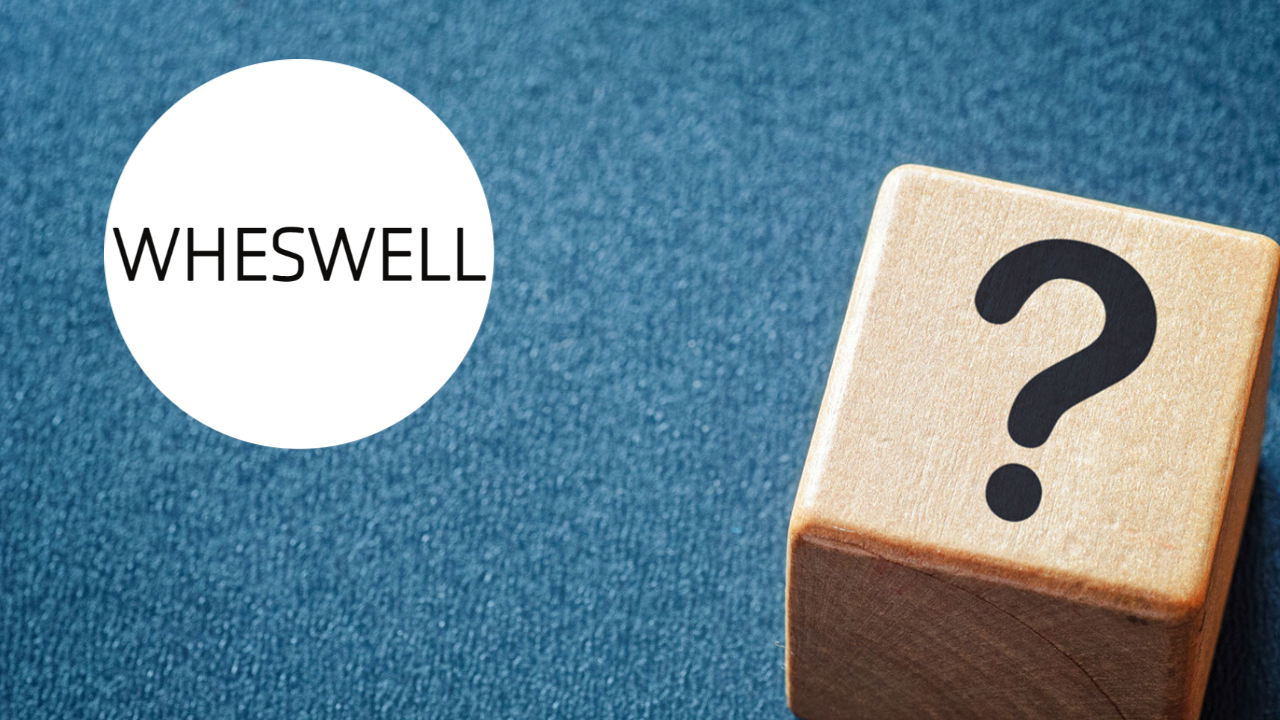 どこの国！？WHESWELLの会社情報と評判について