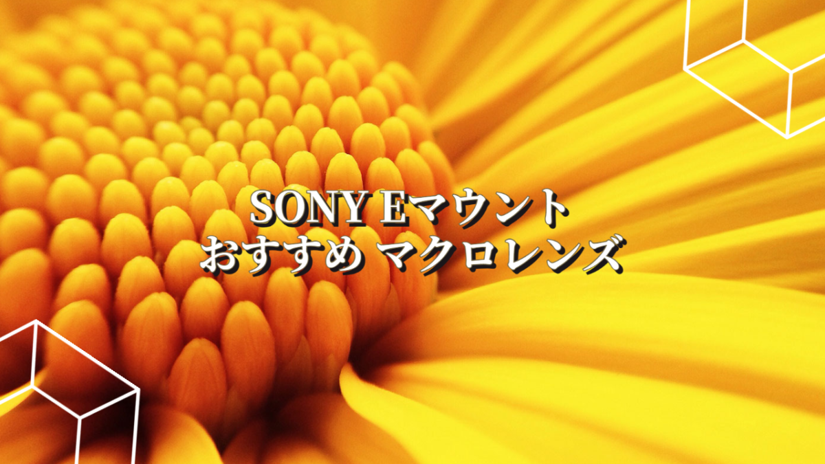 SONY.Eマウントのおすすめマクロレンズ│旅カメラblog SONY.Eマウントのおすすめマクロレンズ│旅カメラblog