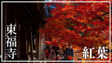 紅葉の定番スポット東福寺に行ってきたブログで紹介