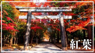 京都の穴場紅葉スポット大原野神社の見どころをブログで紹介